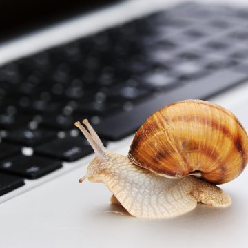 snail near computer laptop keyboard slow internet connection vpn software